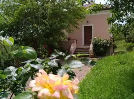 L'Antico Gelso