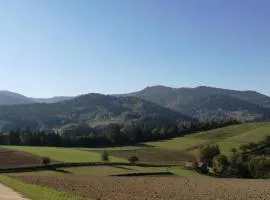 "RYVILLA" Dom na Wilkówce