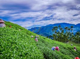 Look Tea House, hotel in zona Meishan Taiping Old Street, Meishan