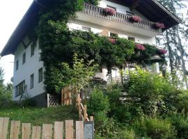 Pension Adlerhorst, hotel di Ramsau am Dachstein