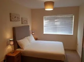 Dublin Airport Room