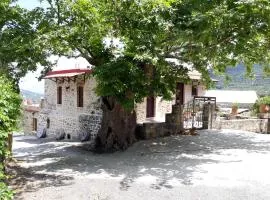 Traditional House Koukounara