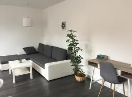 Rozmaring Apartman Pécs