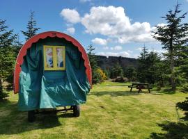 Clissmann Horse Caravans Glamping, area glamping di Rathdrum