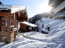 Bauerndörfl Hüttschlag, farm stay in Hüttschlag