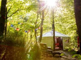 Larkhill Tipis and Yurts, hotel in Carmarthen