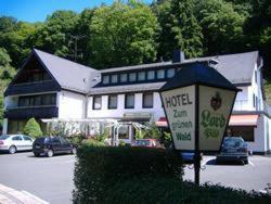 Hotel Zum grünen Wald, hotel v destinaci Villmar