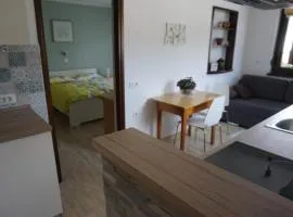 Apartma Irena Volče