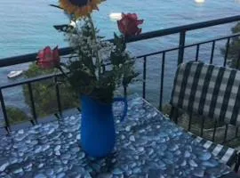 Appartamento Villa Panorama