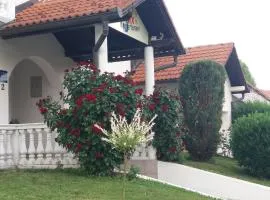 Smx Apartement