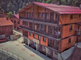 Badul Apart, residence a Uzungöl