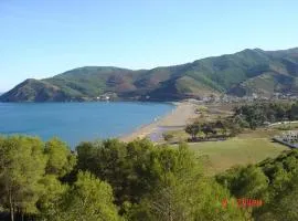 Amsabeach