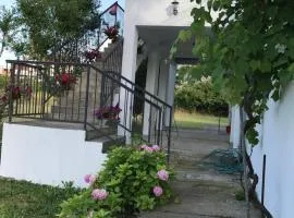 Apartmani Dragana