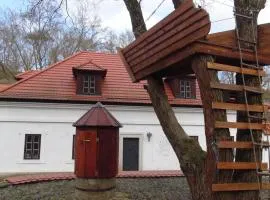 14 Century Water Mill