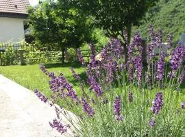 Kuća Lavanda