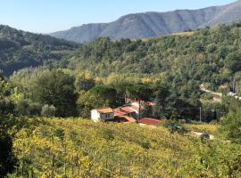 Il Poggiolo ai Casini, appartement in Scopeti