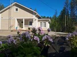 Lake Cottage Koivuniemi