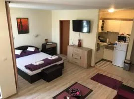 Nestinarka Complex - Emili Apartment