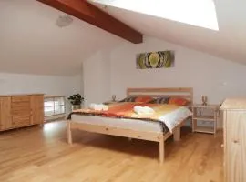 Apartma Ana Drežnica