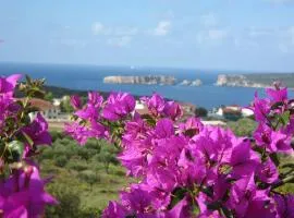 Gianna's Guesthouse & Cave Studio