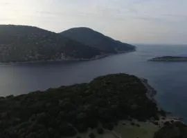 North Paradise