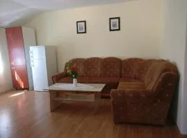 Apartment Bucic