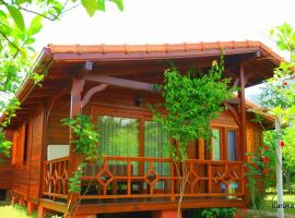 Baraka House, habitación en casa particular en Çıralı