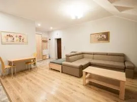Wonderful flat on city center (Mukachivska 4/15)