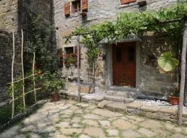 Istrian Experience