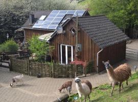 Funny-Farm, hotel with parking in Sassen