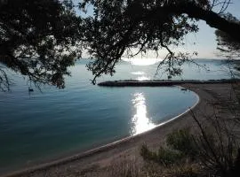 Affittacamere Villa Zelinda