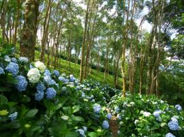 Qingshan Homestay, sewaan penginapan di Taimali