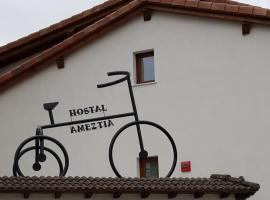 Hostal Ameztia, guest house di Doneztebe