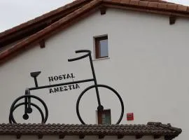 Hostal Ameztia