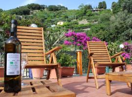 Reginella, holiday rental in Cetara