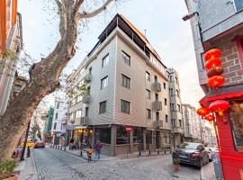 Hotel Fehmi Bey - Special Category, hotel Isztambulban