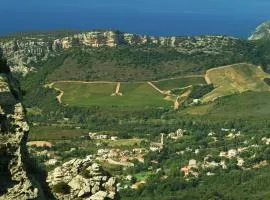 Casa-Albina-Corsica