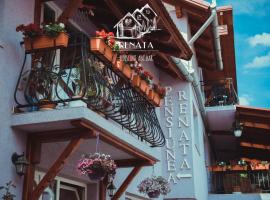 Pensiunea Renata, готель у місті Boghiş