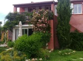 Bio verdon