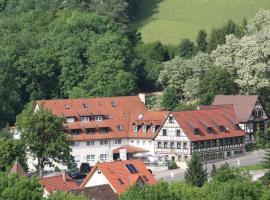 Akzent Hotel Goldener Ochsen, hotel met parkeren in Cröffelbach