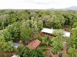 Araliya resort dambulla with free cooking class