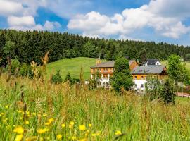 Landhaus Bergidyll, Hotel in Bärenstein