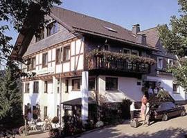 Pension Zur schönen Aussicht, hotel in Hallenberg