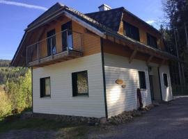 Titisee Haus Vogelnest, smeštaj na plaži u gradu Titize-Nojštat