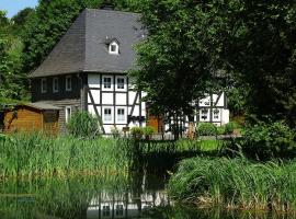 Ferienwohnung "kleine Auszeit", cheap hotel in Olsberg