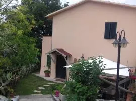 Villa L'Oliveto