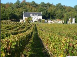 Domaine de Beauséjour, hotel in Panzoult