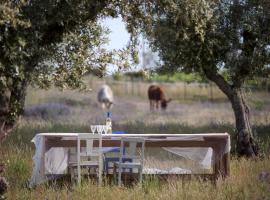 Quinta dos doze Sobreiros - Quarto Sol, hotel u gradu 'Ferreira do Alentejo'