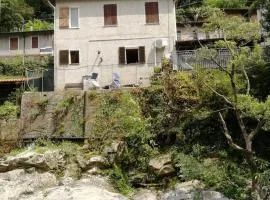 The River House