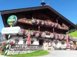 Traditionsgasthof Sollererwirt, pension in Thierbach
